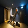 Image of Boutique Hotel Lacky
