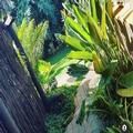 Exterior of Breena BnB Guest House