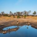 Photo of Buffelshoek Tented Camp