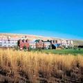 Exterior of Cactus Petes Resort Casino & Horseshu Hotel