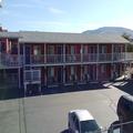 Image of Cactus Tree Inn