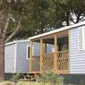 Image of Camping Waikiki
