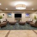 Image of Candlewood Suites Baton Rouge - College Drive by IHG
