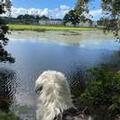 Photo of Castlemartyr Resort