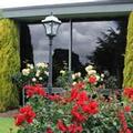 Photo of Cedar Lodge Motel Morwell