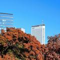 Image of Century Southern Tower Hotel