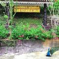Image of Chang Cliff Resort