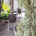 Photo of Cherry Place GuestHouse