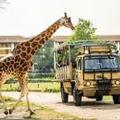 Image of Chessington Resort Hotel