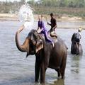 Exterior of Chitwan Forest Resort