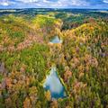 Image of Cinnamon Valley