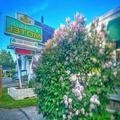 Image of Claddagh Motel & Suites