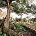 Image of Cloister at the Boca Raton