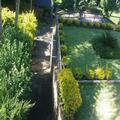 Image of Cokama Guesthouse