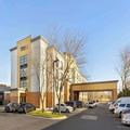 Image of Comfort Inn & Suites Arlington Heights - Schaumburg