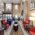 Photo of Comfort Inn & Suites Canton Riverstone Area