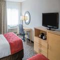 Image of Comfort Suites Crossville