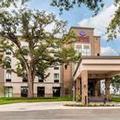 Image of Comfort Suites - South Austin