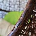 Image of Coqui Del Mar Guest House