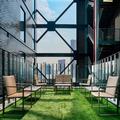Photo of Courtyard Mexico City Toreo