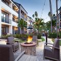 Exterior of Courtyard St. Petersburg Clearwater