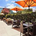 Image of Courtyard by Marriott San Antonio Airport/North Star Mall