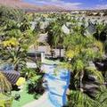 Photo of Desert Palms Alice Springs