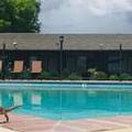 Image of Dinosaur Inn & Suites