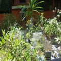 Photo of Dona Marta Boutique Hotel