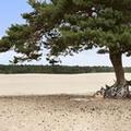 Exterior of Doubletree by Hilton Royal Parc Soestduinen