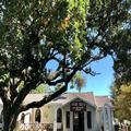 Image of Eight Bells Mountain Inn