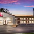 Image of Elite Inn