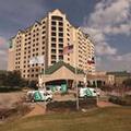 Image of Embassy Suites by Hilton Dallas Dfw Airport North