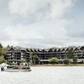 Image of Entourage Sur Le Lac