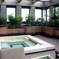 Photo of Exe Alameda Reforma