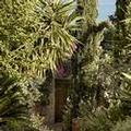 Photo of F ZEEN KEFALONIA - Adults Only