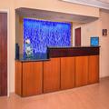 Photo of Fairfield Inn & Suites Dulles Airport Chantilly