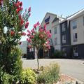 Image of Fairfield Inn & Suites by Marriott Ukiah - Mendocino County