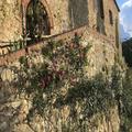 Image of Fattoria Il Santo