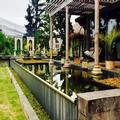 Photo of Forest Nature Spa