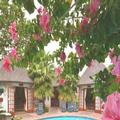 Image of French Lodge International