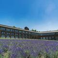 Image of Furano Hotel