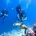 Image of Furaveri Maldives
