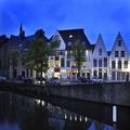 Image of Golden Tulip De' Medici Hotel