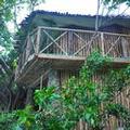 Photo of Great Huts