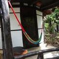 Photo of Green Tulum