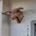 Photo of GreenTree Inn of Prescott Valley