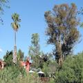 Photo of Gumtree Guest House