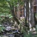 Exterior of Hampton Inn Gatlinburg