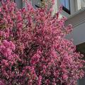 Image of Hampton Inn & Suites Cincinnati-Union Center